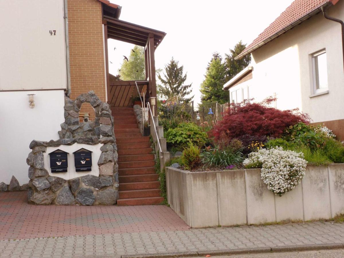 Ferienwohnung Schanbacher Oberzent Eksteriør billede
