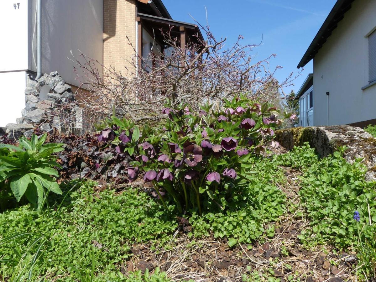 Ferienwohnung Schanbacher Oberzent Eksteriør billede